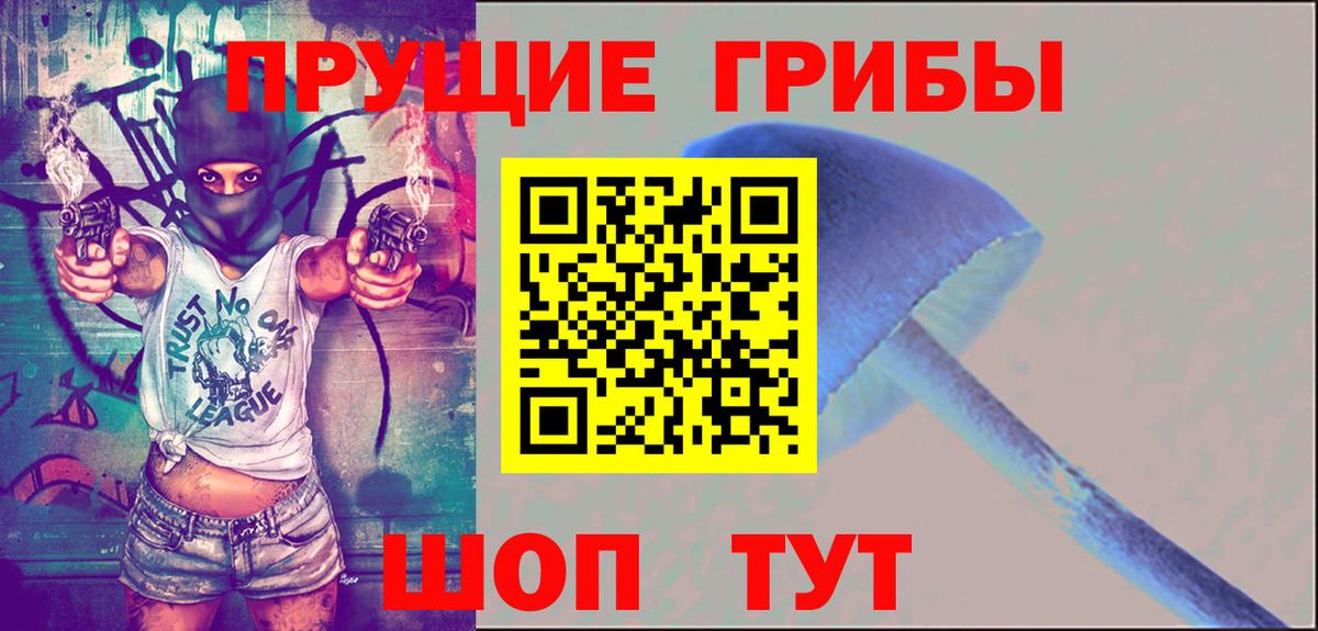Псилоцибиновые грибы Psilocybe  наркота  Волгодонск  Вход с VPN  Галлюциногенные грибы мухоморы 